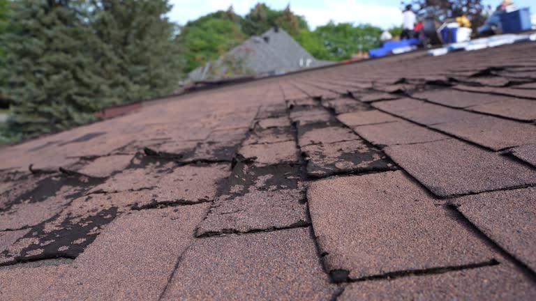Best Cold Roofs  in Coldwater, MI