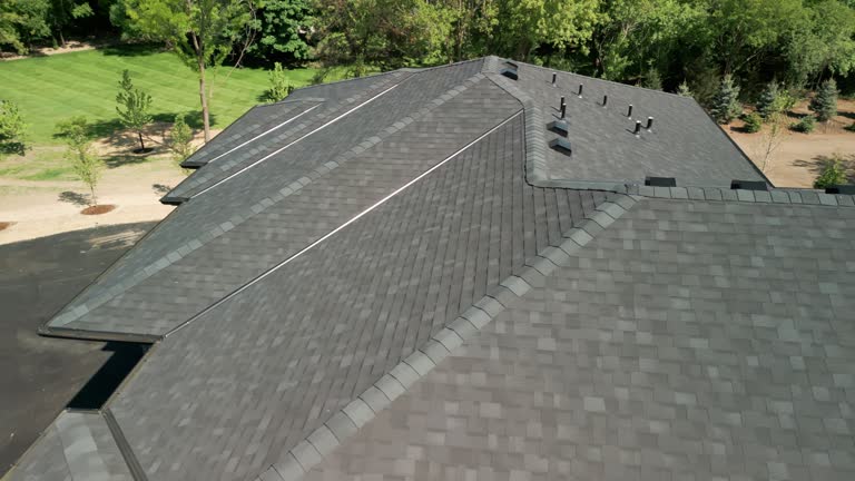 Best Roof Insulation Installation  in Coldwater, MI