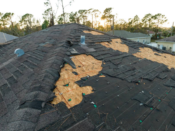 Best Slate Roofing  in Coldwater, MI